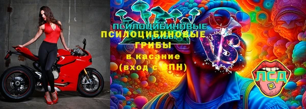 jwh Аркадак