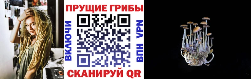 ссылка на мегу вход  Тара  Псилоцибиновые грибы прущие грибы  сколько стоит 